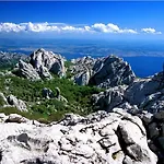 Kornati Willa Tkon