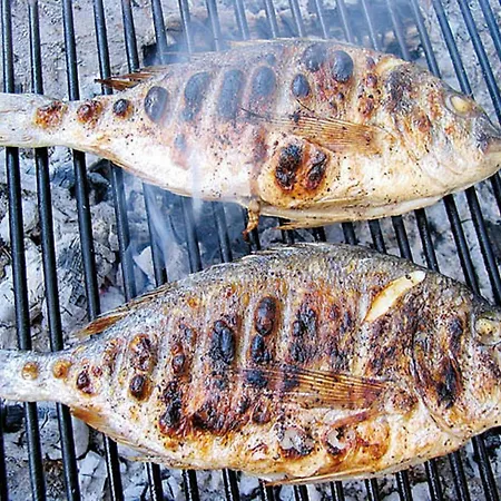 Kornati וילה טקון