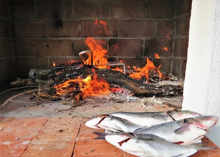 فيلة Kornati تكون