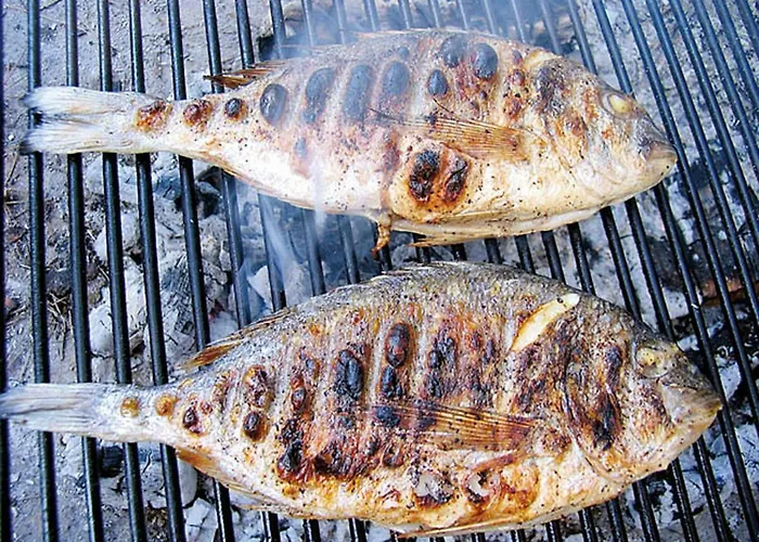 Kornati فيلة تكون